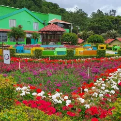 Local Festivals and Fairs - Bugaba