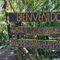 Volcán Barú National Park - Bugaba