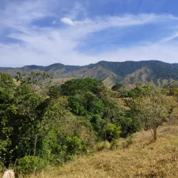 Reserva Forestal de La Tronosa - Chitré