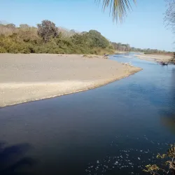 Reserva Forestal de La Tronosa - Chitré