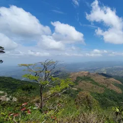 Cerro La Cruz - Colon