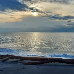 Coronado Beach - Coronado