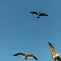 La Barqueta Beach - Coronado