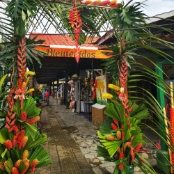 El Valle de Anton - Gorgona