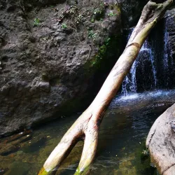 El Valle de Anton - Gorgona