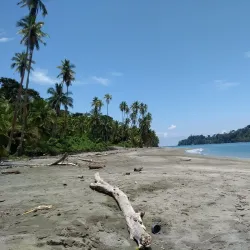 Gorgona Forest Reserve - Gorgona