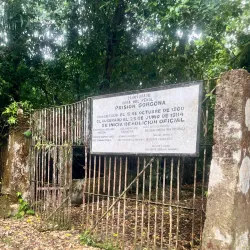 Gorgona Forest Reserve - Gorgona