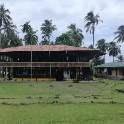 Gorgona Forest Reserve - Gorgona