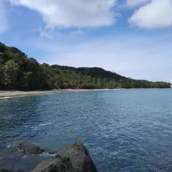 Gorgona Forest Reserve - Gorgona