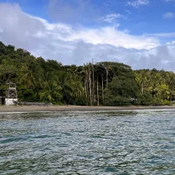 Gorgona Forest Reserve - Gorgona