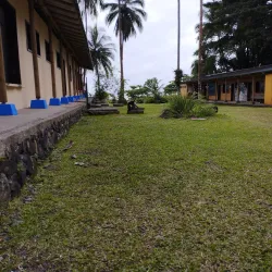 Gorgona Forest Reserve - Gorgona