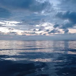 Gorgona Forest Reserve - Gorgona