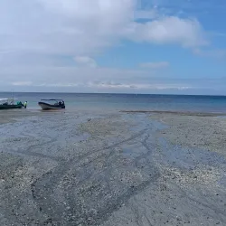 Gorgona Forest Reserve - Gorgona