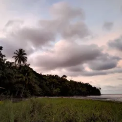 Gorgona Forest Reserve - Gorgona