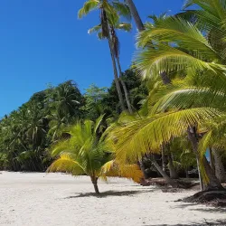 Isla Coiba - Gorgona