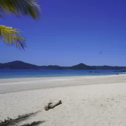 Isla Coiba - Gorgona