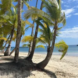 Isla Coiba - Gorgona