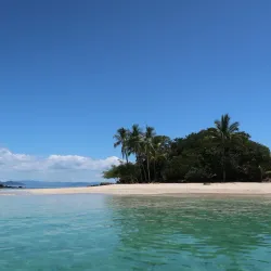 Isla Coiba - Gorgona