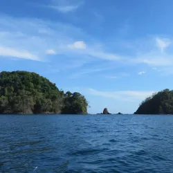 Isla Coiba - Gorgona
