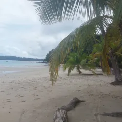 Isla Coiba - Gorgona