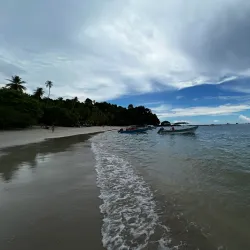 Isla Coiba - Gorgona