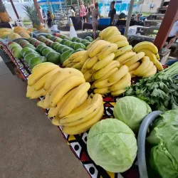 Local Markets and Artisan Shops - Gorgona