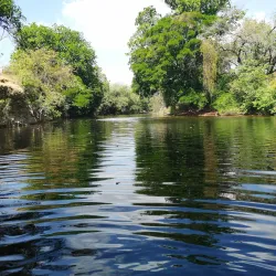 Panama Pacifico - Gorgona