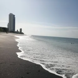 Panama Pacifico - Gorgona