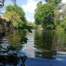Panama Pacifico - Gorgona