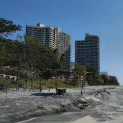 Panama Pacifico - Gorgona