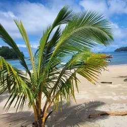 Parque Nacional Coiba - Gorgona