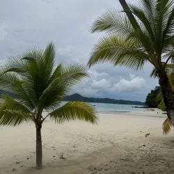 Parque Nacional Coiba - Gorgona