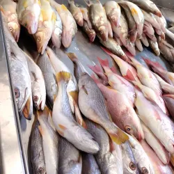 Mercado Municipal de La Chorrera - La Chorrera