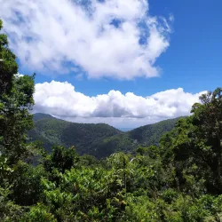 Parque La Amistad - La Chorrera