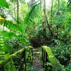 Parque La Amistad - La Chorrera