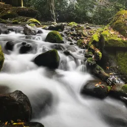 Parque La Amistad - La Chorrera