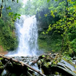 Parque La Amistad - La Chorrera