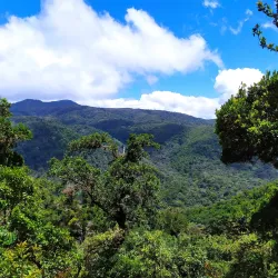 Parque La Amistad - La Chorrera