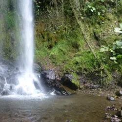 Parque La Amistad - La Chorrera