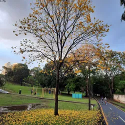 Parque Omar - Las Cumbres