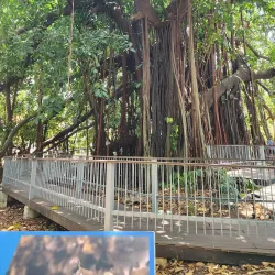 Biomuseo - Panama City