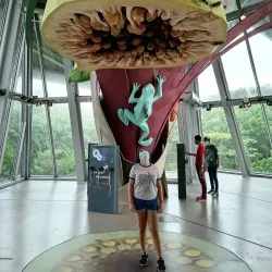 Biomuseo - Panama City