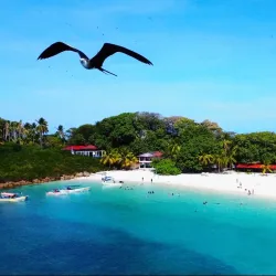 Isla Iguana Wildlife Refuge - Pedasi