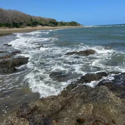 Playa El Toro - Pedasi