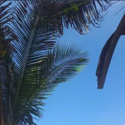 Playa El Toro - Pedasi