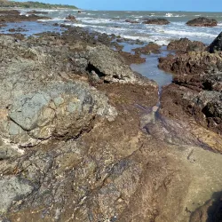 Playa La Garita - Pedasi