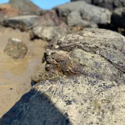 Playa La Garita - Pedasi
