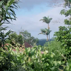 Cerro La Vieja - Penonome