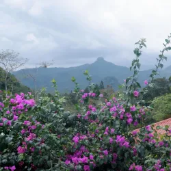 Cerro La Vieja - Penonome