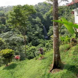 Cerro La Vieja - Penonome